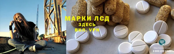 гидра Богородск