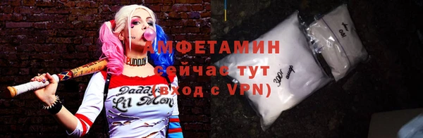гидра Ельня