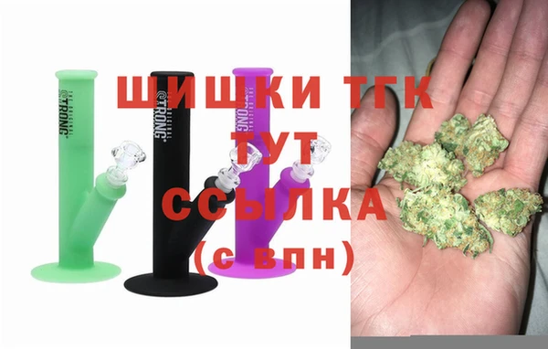 индика Богданович