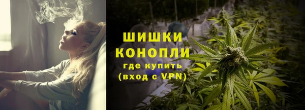 амф Арсеньев