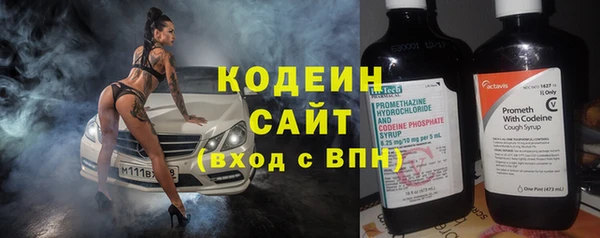 индика Богданович