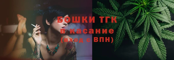 гидра Богородск