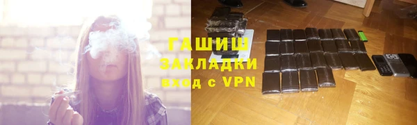 гидра Богородск