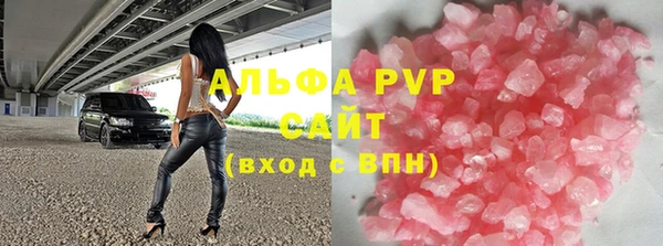 индика Богданович