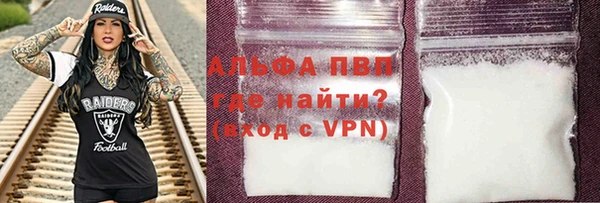 гидра Богородск