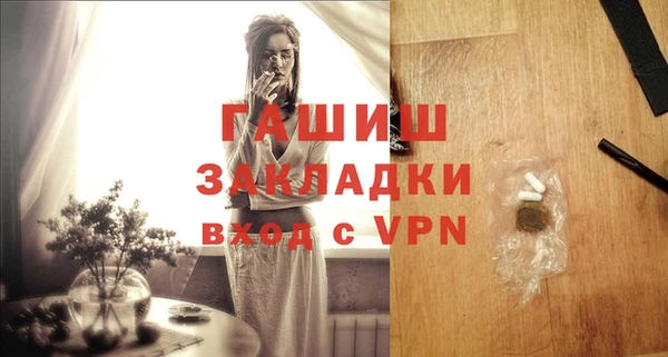 гидра Богородск