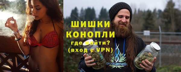 гидра Богородск