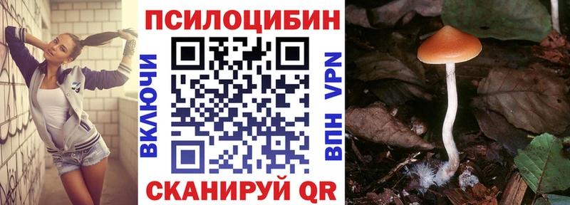 купить наркотики цена  Судак  Галлюциногенные грибы мицелий 